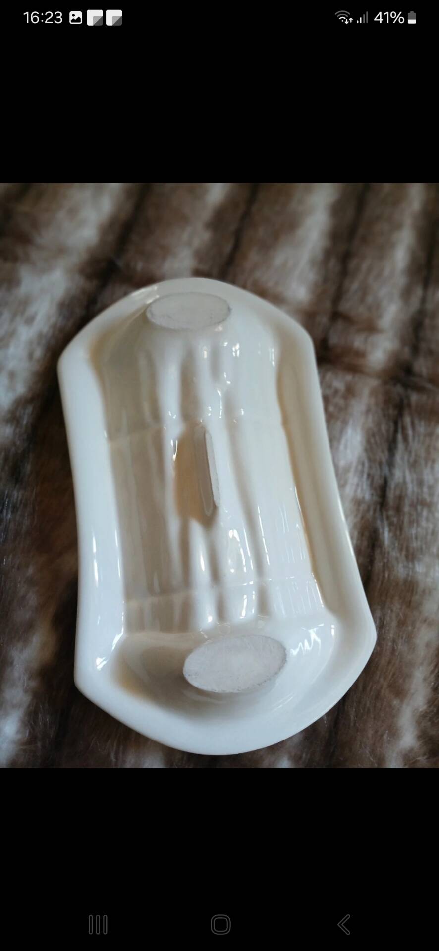 Old plate in slipware/asparagus