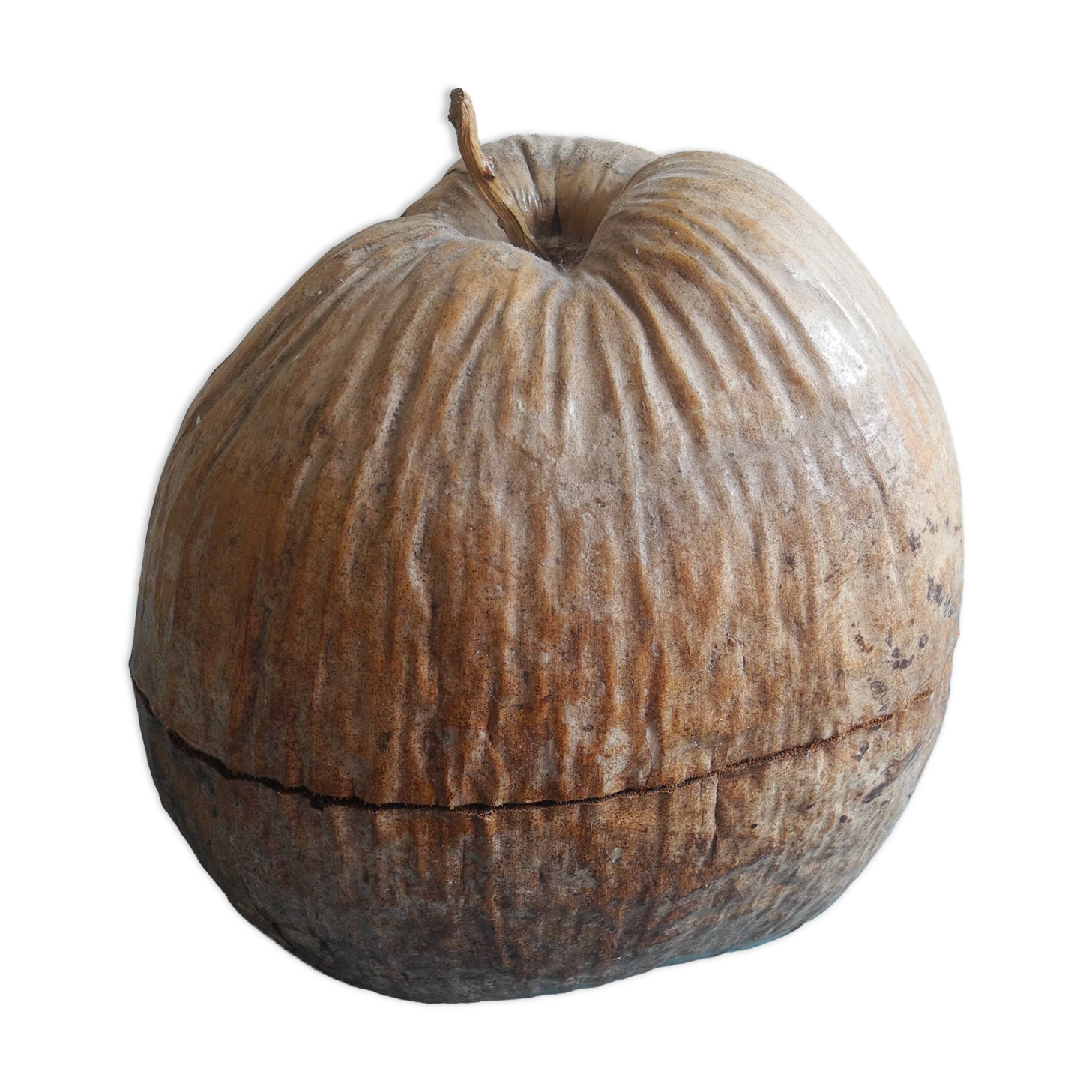 vintage ice bucket coconut Nocodaf Abidjan 70s