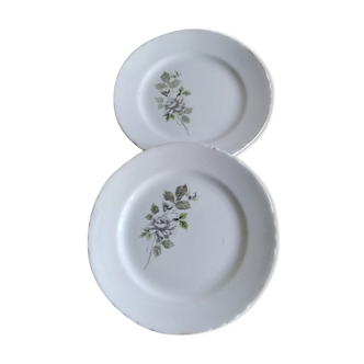 Assiettes plates