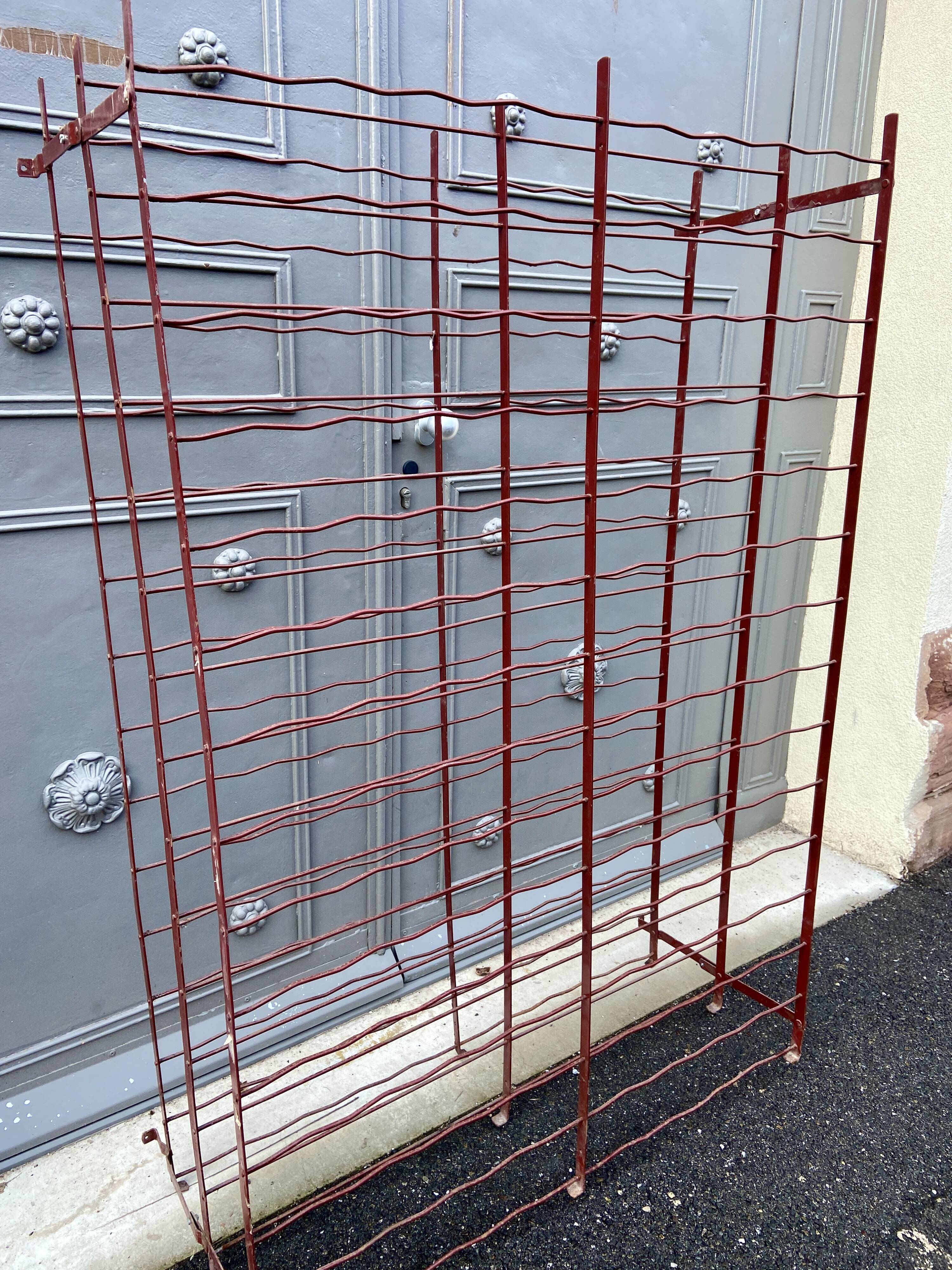 Wine cellar shelf bottles cellar 300 bottles