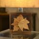 Lamp with plane tree leaf inclusion by Pierre Giraudon 1970s