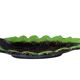 Large leaf-shaped bowl Vallauris