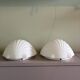 Two wall sconces in opal glass in the shape of seashells, Germany 1970