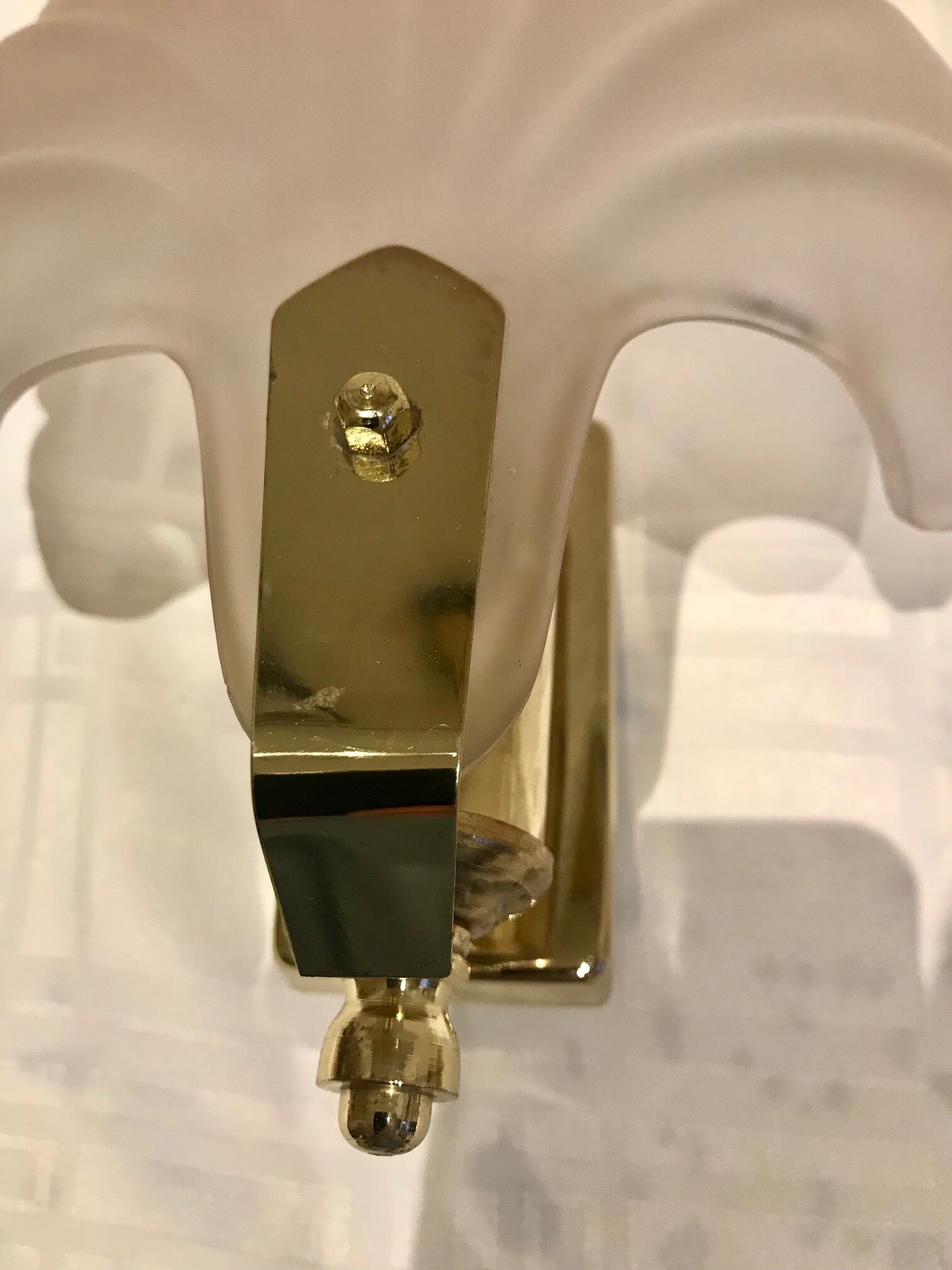 Pair of shell sconces