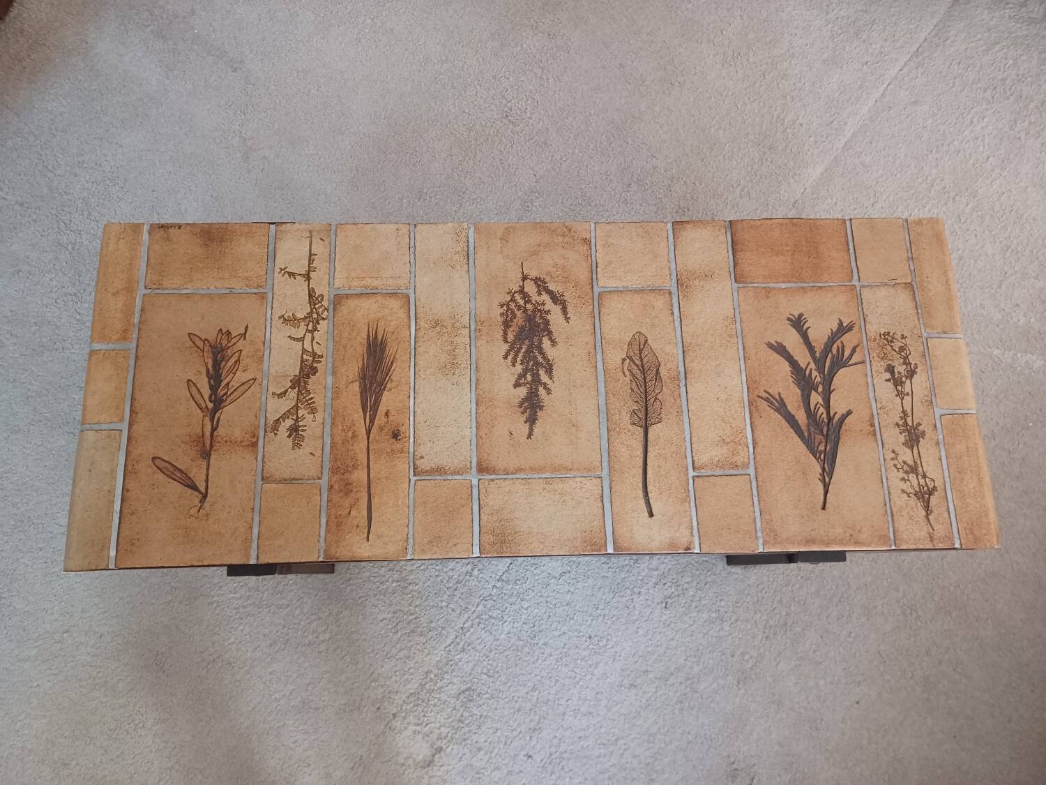 Vallauris herbarium coffee table by Roger Capron