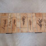 Vallauris herbarium coffee table by Roger Capron