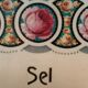 Boite à sel