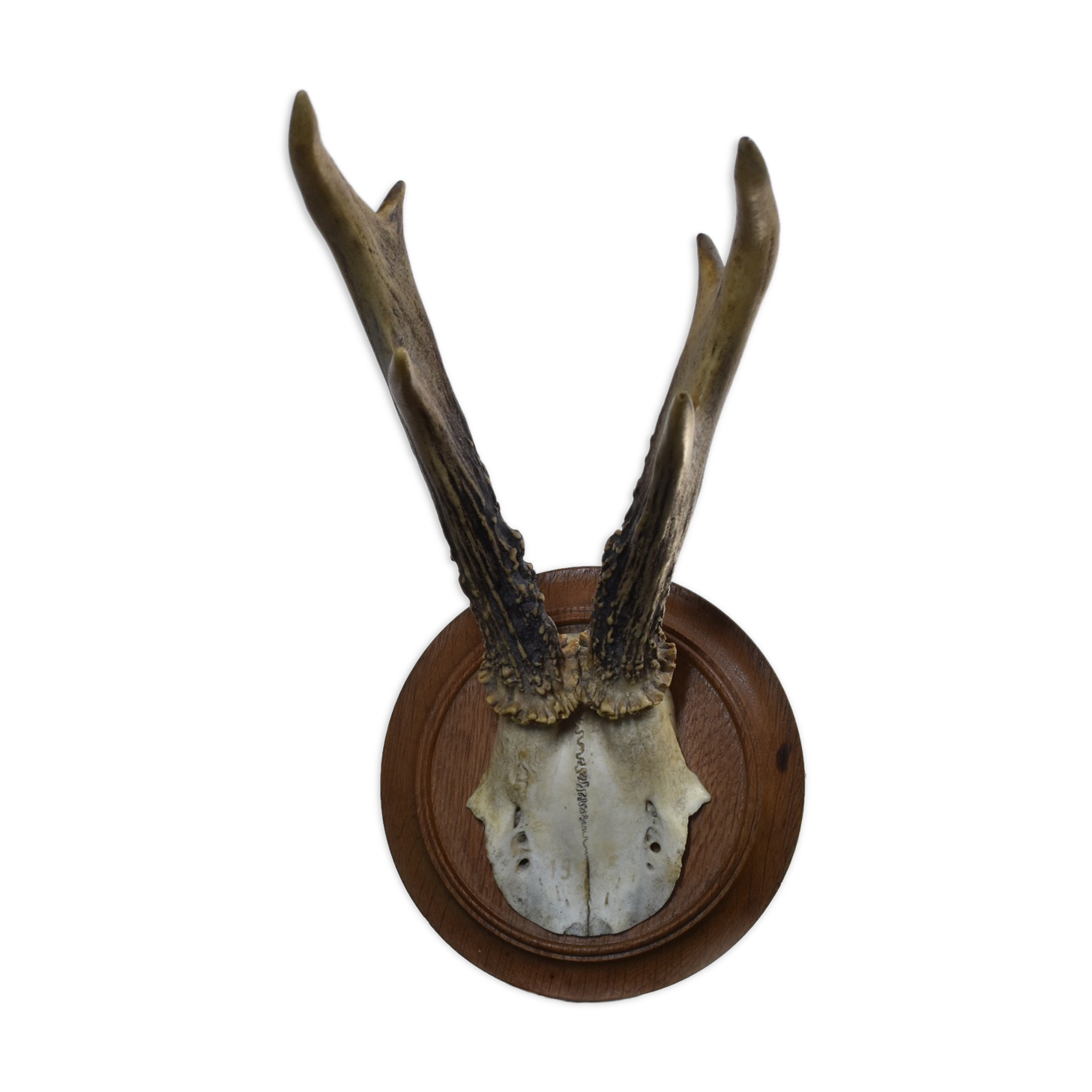 Karl Roegner Deer Massacre