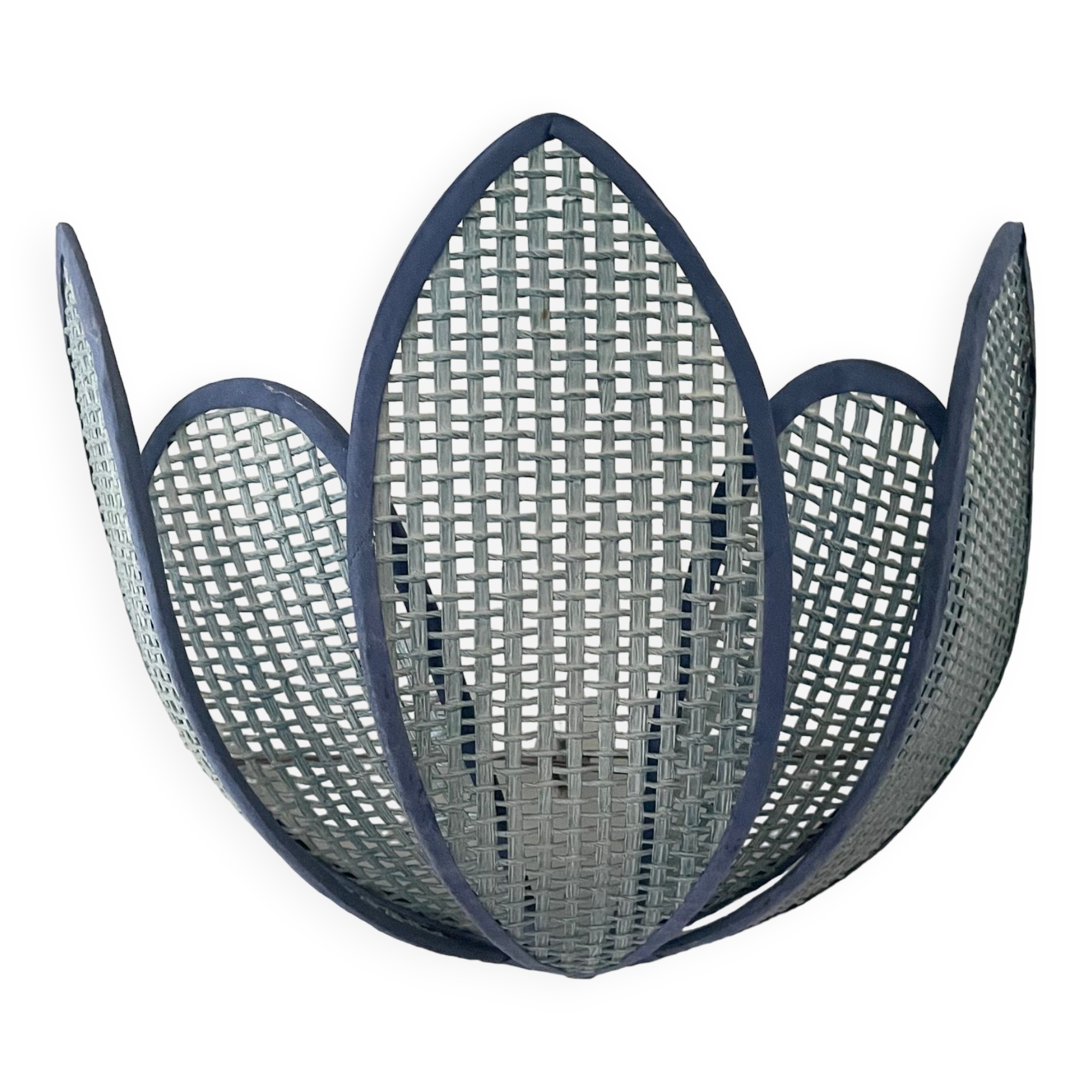 Lotus flower canning wall lamp