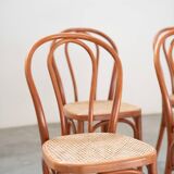Bent beech wood chairs with straw seats, no. 34 total, 1990-2000