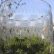 Set of 4 old balloon glasses in blown glass, engraved frieze