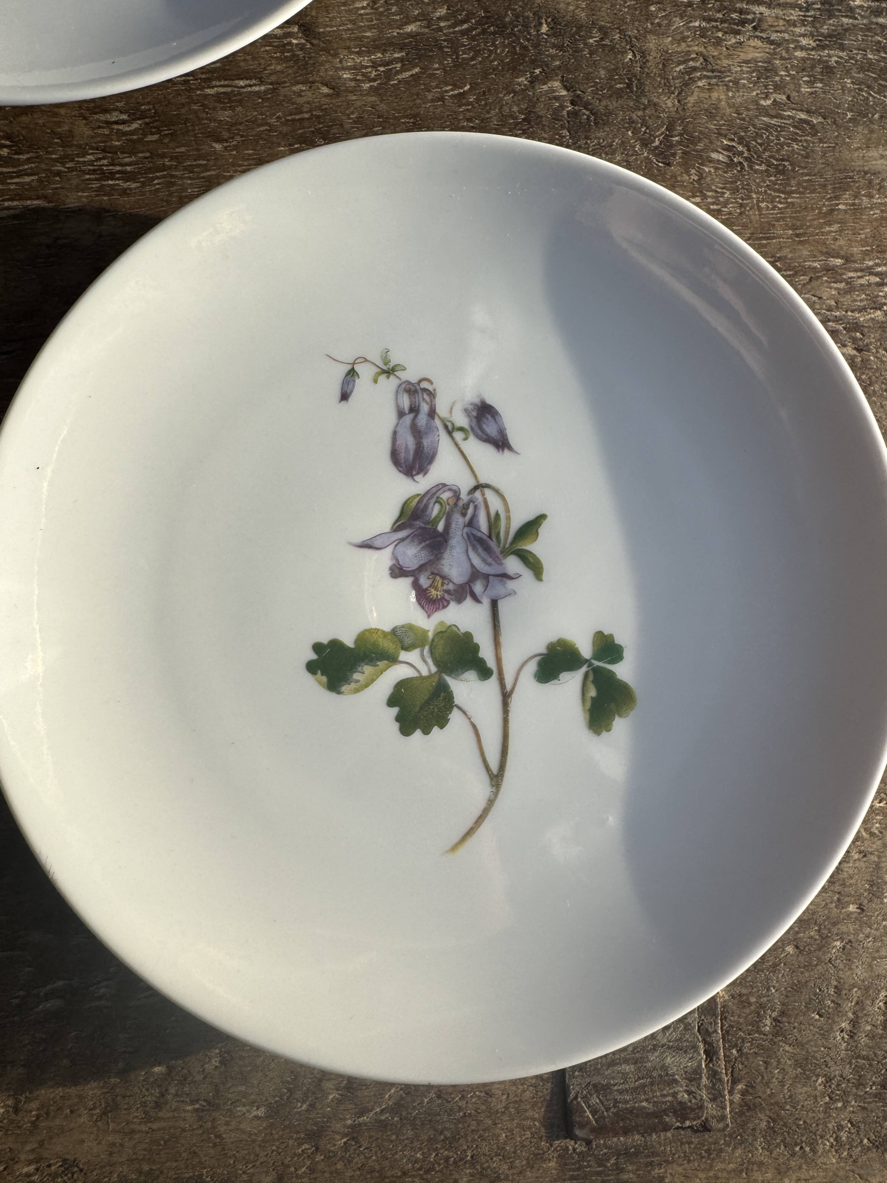 Set of 5 dessert plates with flower patterns Germany Bavaria D19