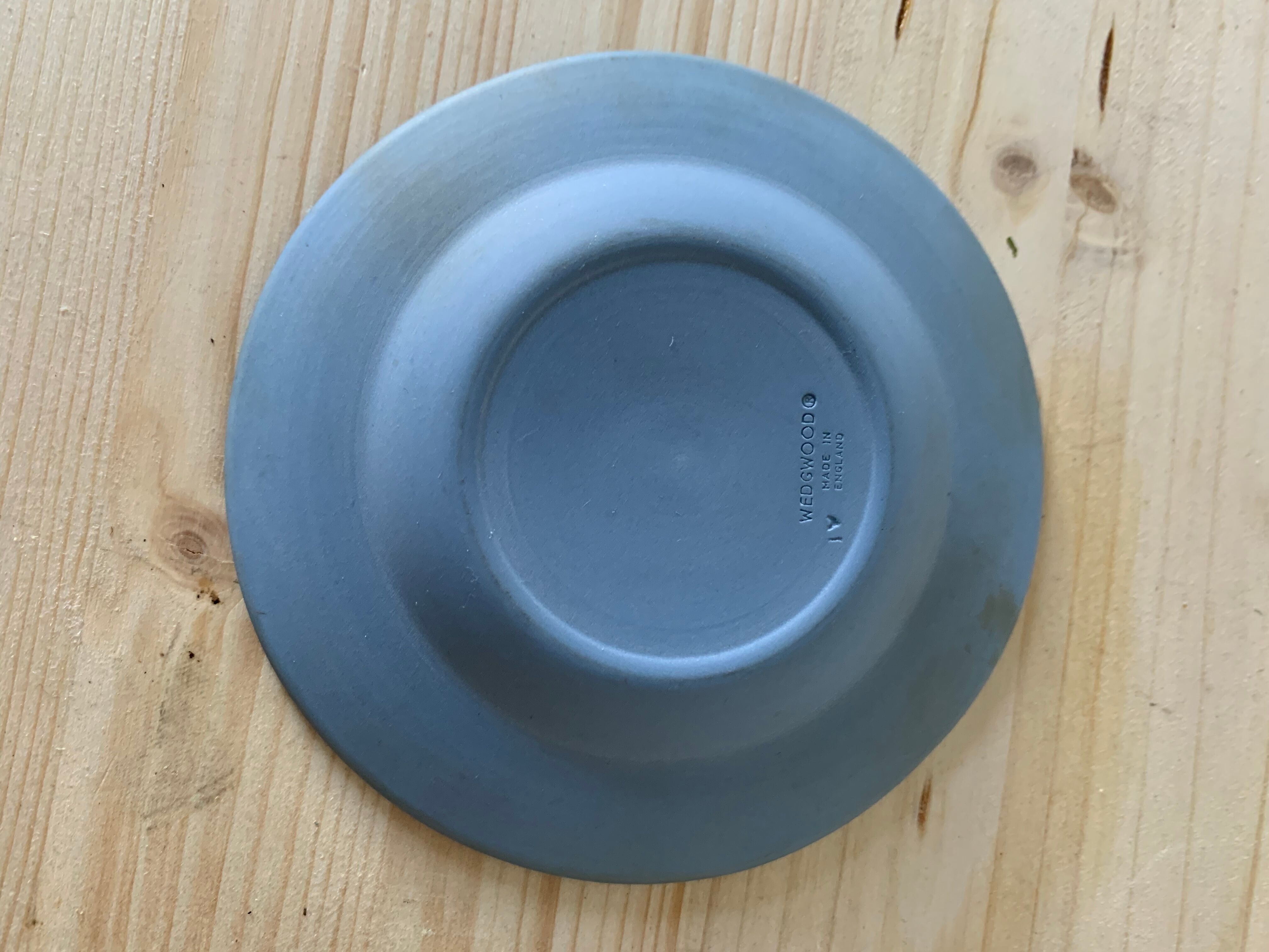 Empty Wedgwood pocket