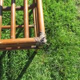 4 rattan chairs
