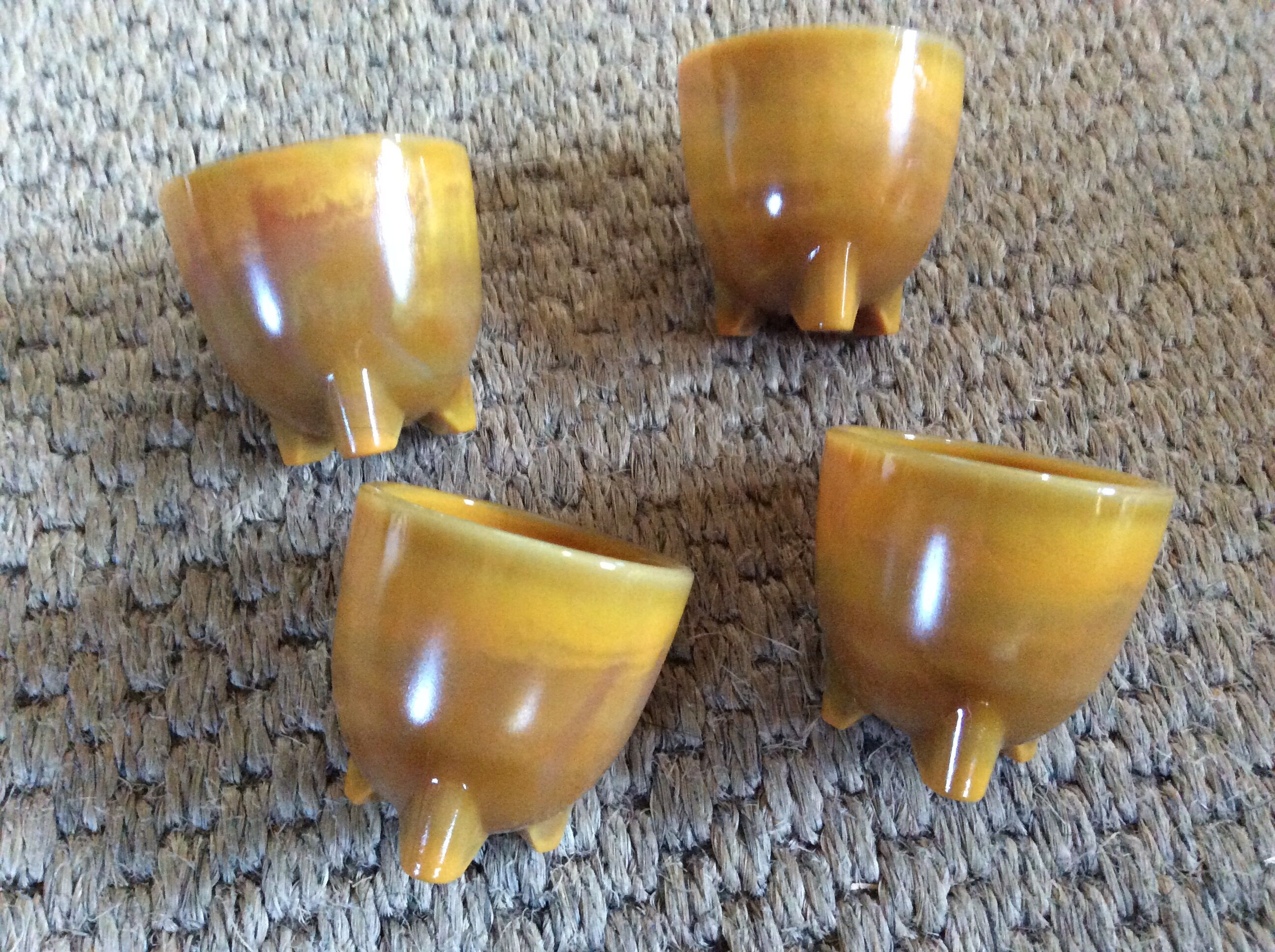 Series of 4 cockroaches