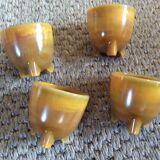 Series of 4 cockroaches