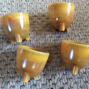 Series of 4 cockroaches