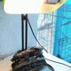 Banker's lamp with dog