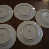 Set of 5 Tulowice stoneware plates