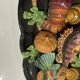 Large oval wall plate in Palissy majolica from Vallauris