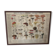 Botanical poster "Edible and poisonous mushrooms"