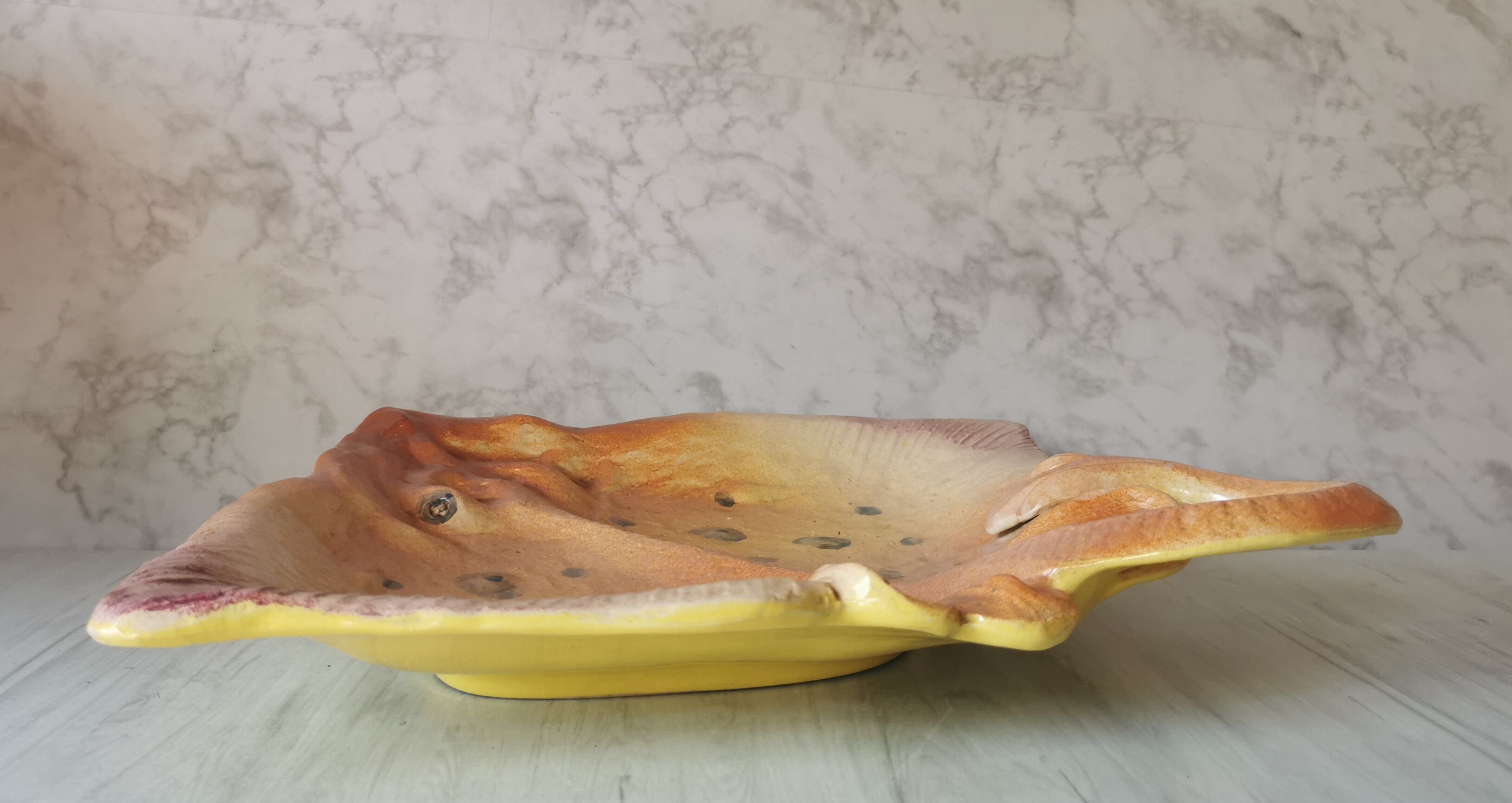 Zoomorphic dish ray