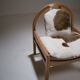Fauteuil « Argos » par Baumann