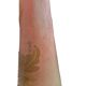 soliflore vase Emile Gallé 1900 1910
