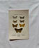 Botanical Plate 1800 Old Naturalist Engraving 19th Century Double-Sided