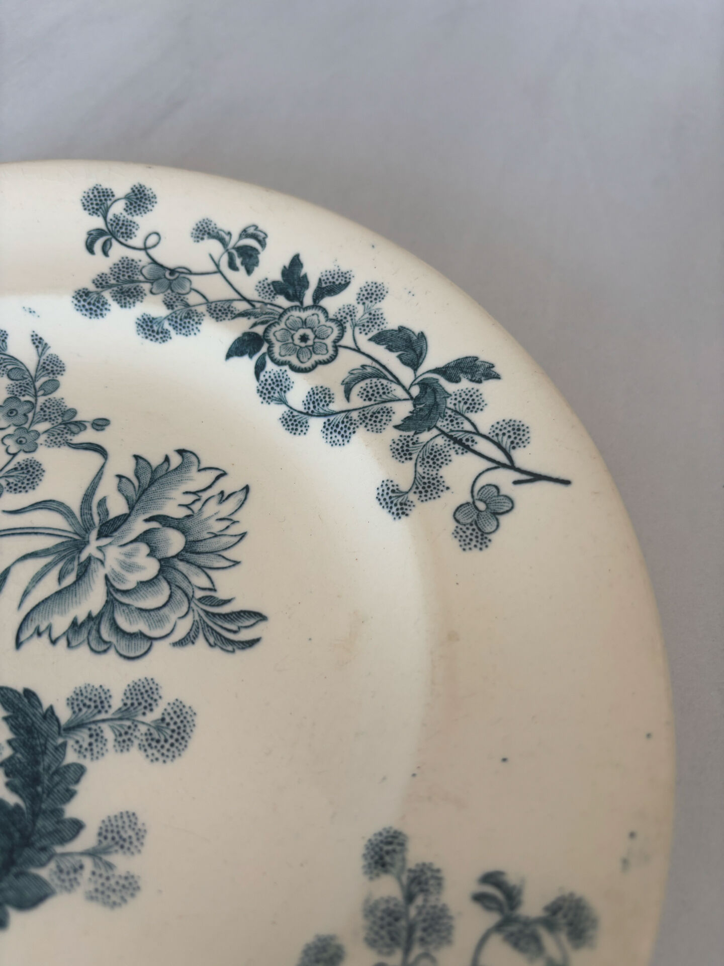 Flat plate iron earth Longwy model Ycho - blue flower faience ja