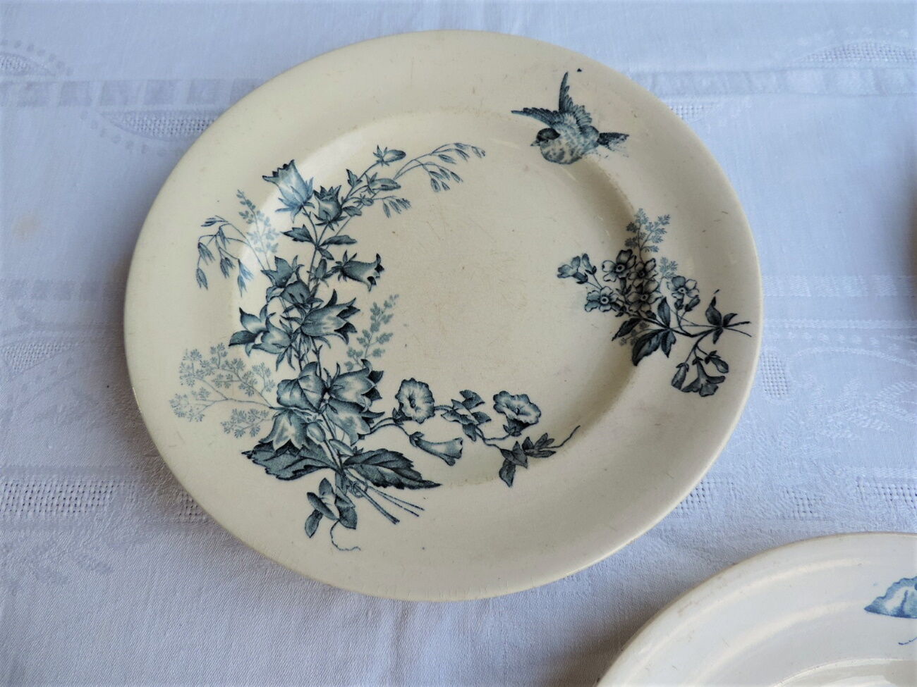Lot de dix assiettes en Longwy , décor Botanique