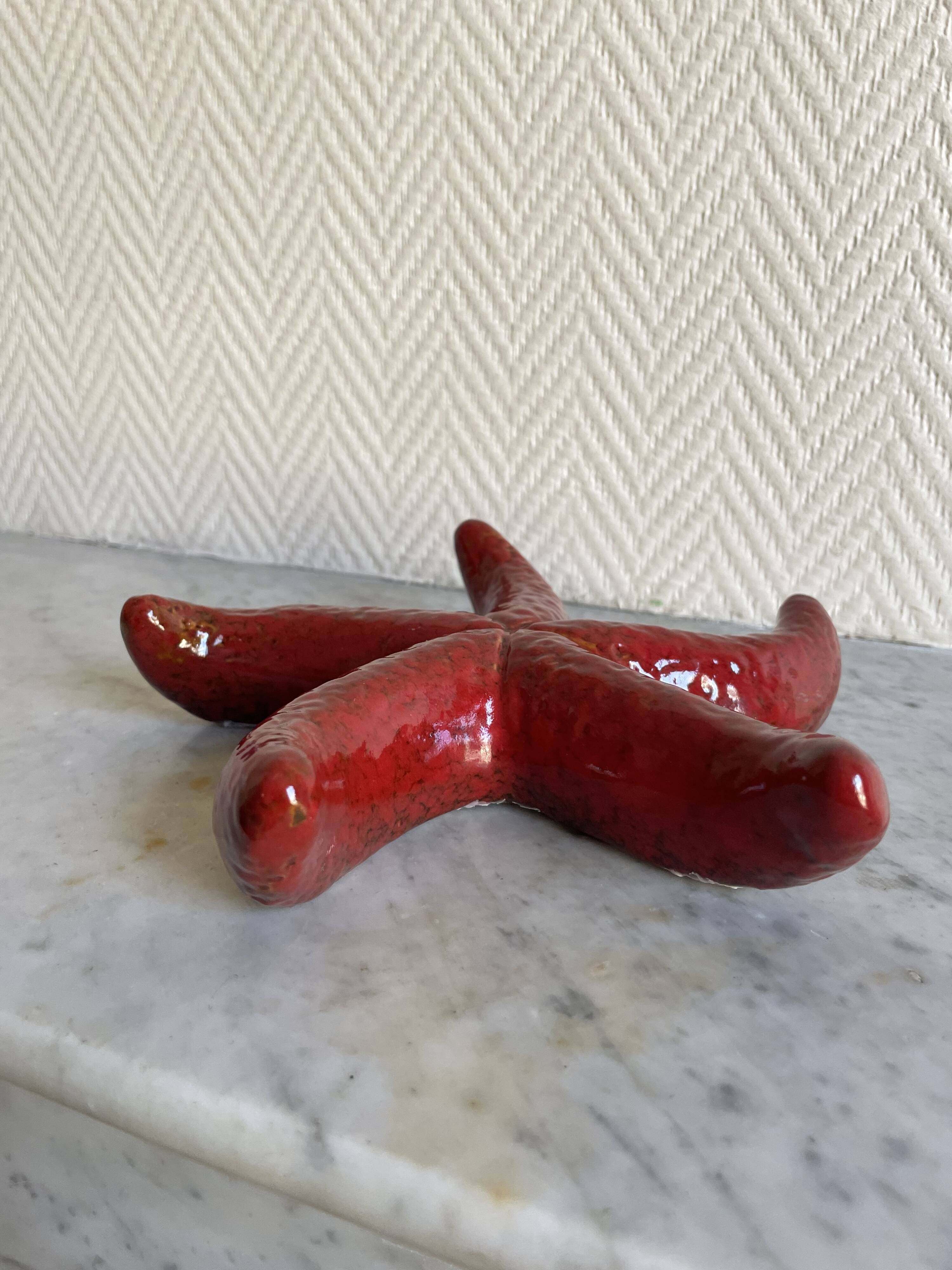 ceramic starfish