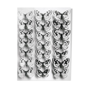 papillons 1