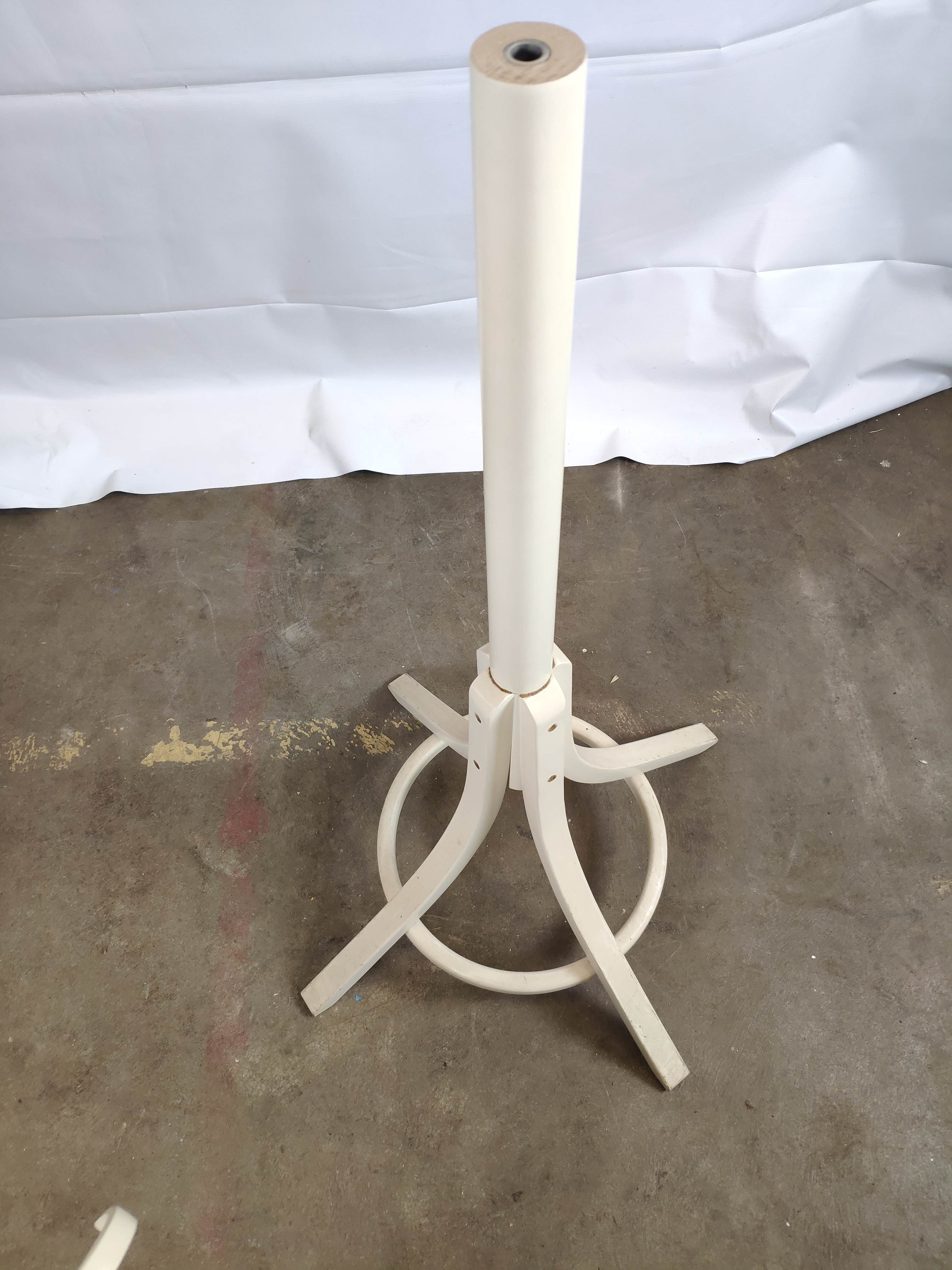 White mantle wooden Baumann parrot