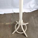 White mantle wooden Baumann parrot