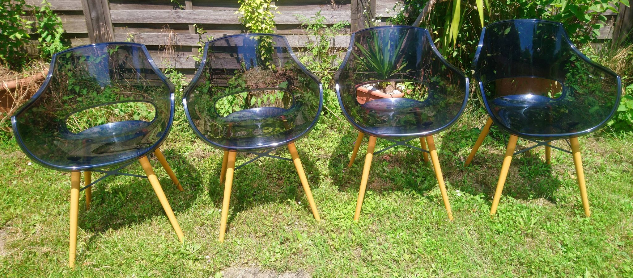 Lot of Opal Wox grey smoke chairs with beech legs.
