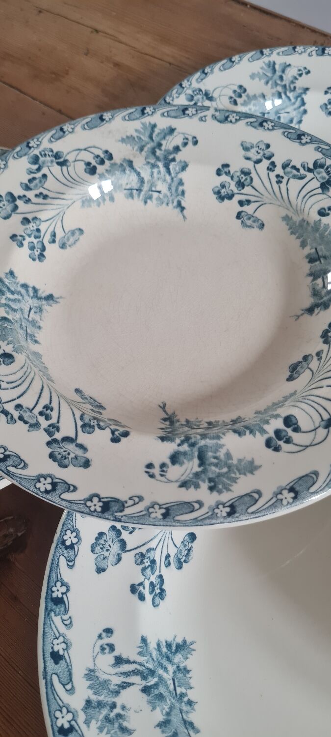 Service of 6 plates in iron earth