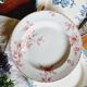 Lot de 6 assiettes plates terre de fer dépareillées