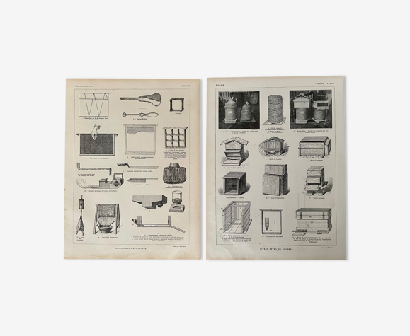 Lot de 2 lithographies sur la ruche et l'apiculture de 1921