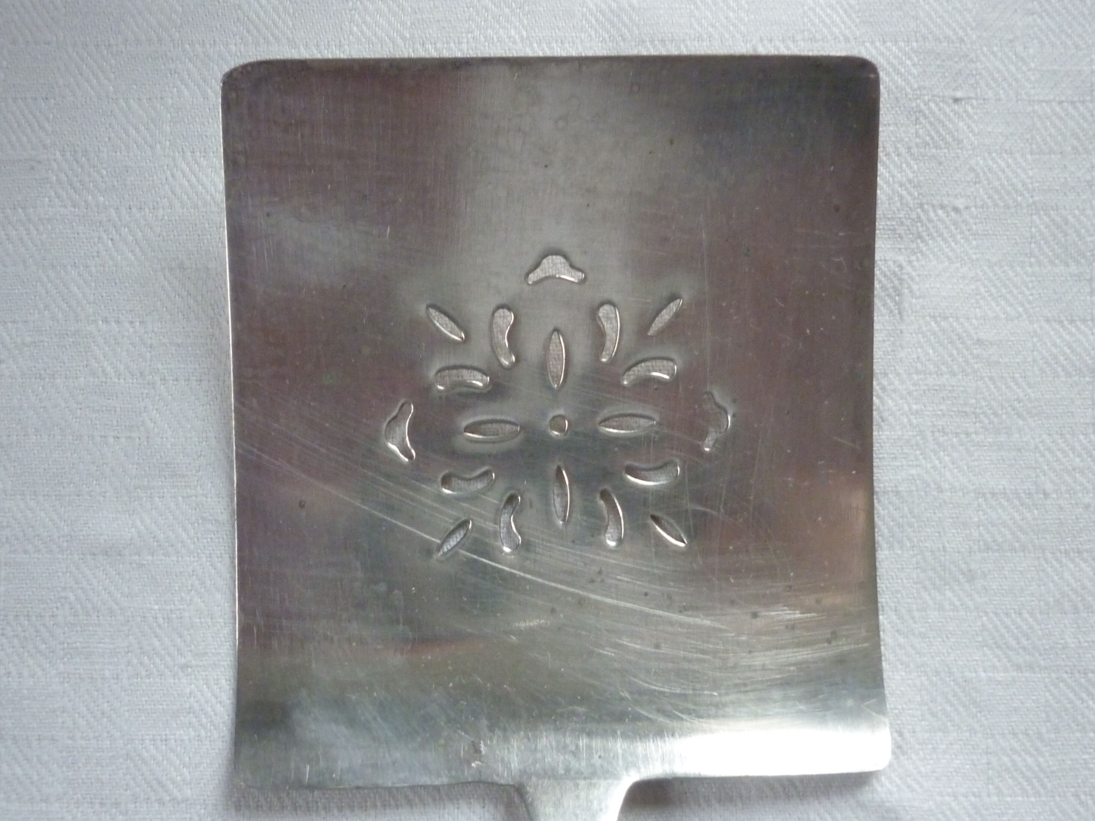 Asparagus pelle, silver metal gates