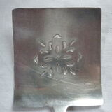 Asparagus pelle, silver metal gates