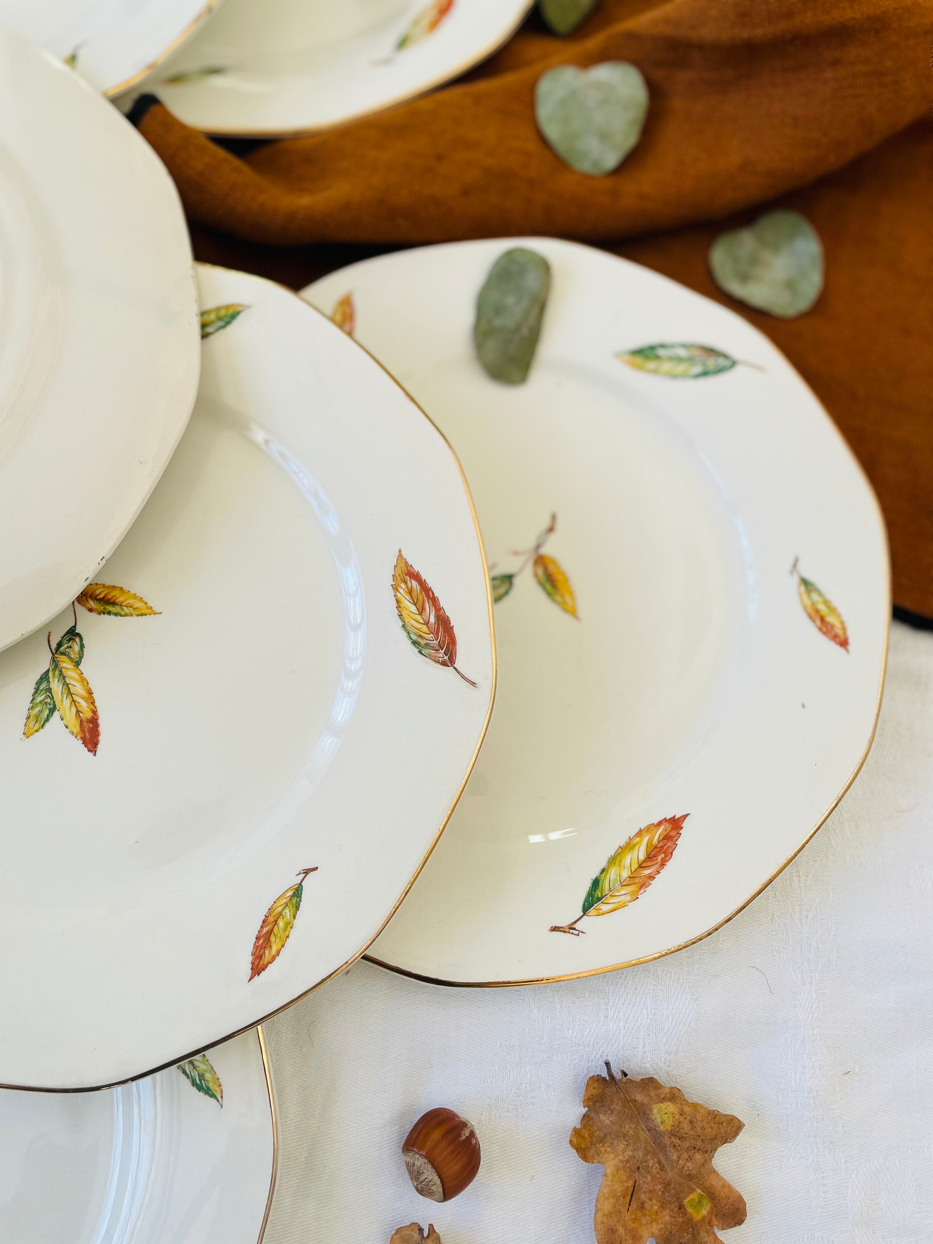 Set of 11 vintage flat plates Digoin Sarreguemines model Nemours