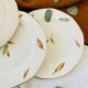 Set of 11 vintage flat plates Digoin Sarreguemines model Nemours