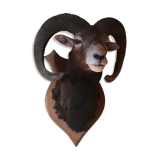 Sheep trophy