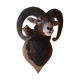 Sheep trophy