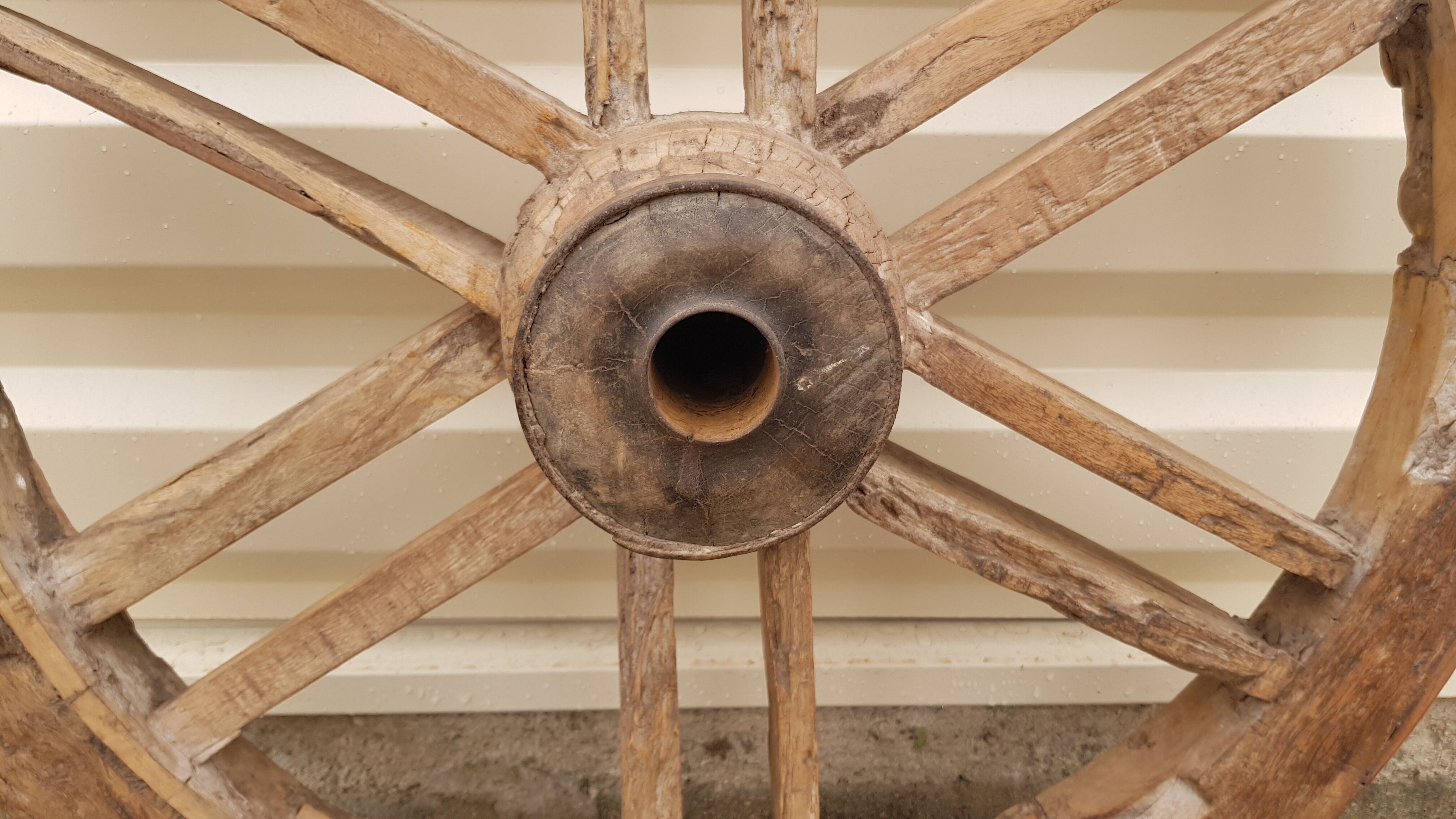 Old teak plow wheel