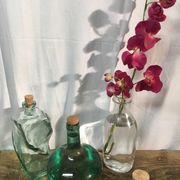 Lot de 3 bouteilles environ 2l