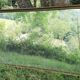 Antique mercury mirror. (Fireplace mirror)