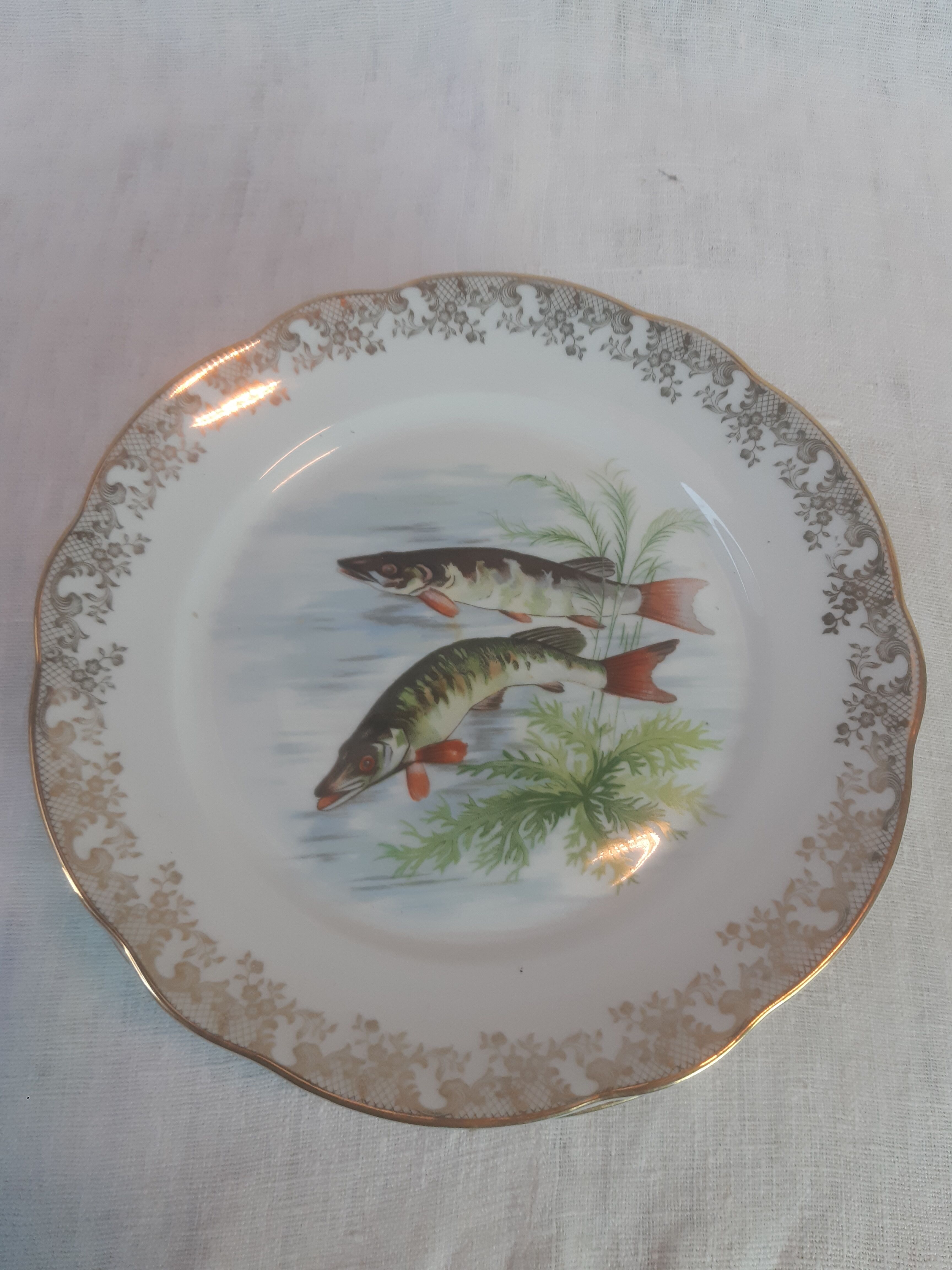 Lot of fish plates