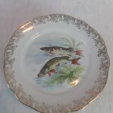 Lot of fish plates